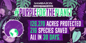 SAMBAZON creates massive campaign